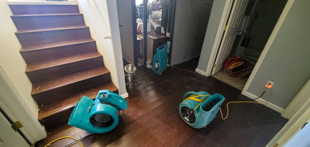 Best Flood damage cleanup  in Walnut Ridge, AR