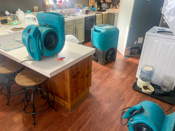 Water damage restoration experts in Walnut Ridge, AR