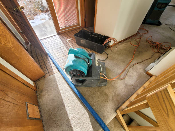 Best Basement water damage restoration  in Walnut Ridge, AR