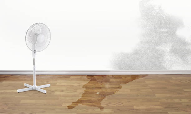 Best Commercial water damage restoration  in Walnut Ridge, AR
