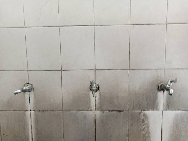 Best Ceiling water damage repair  in Walnut Ridge, AR