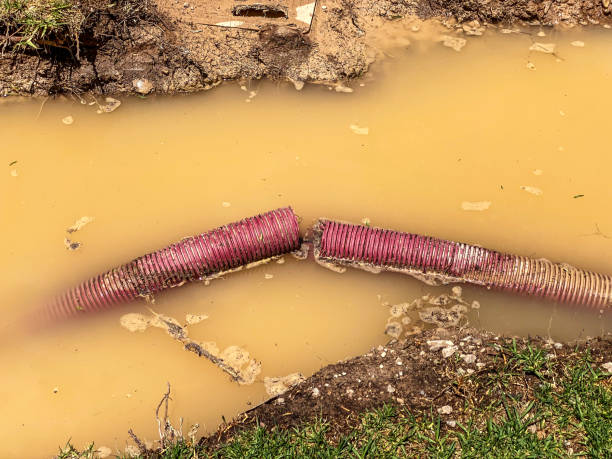Best Residential water damage restoration  in Walnut Ridge, AR